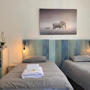 Appartement met een Slaapkamer
